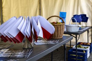 Stół w namiocie z bukietem flag polskich, ulotkami UE oraz koszami i skrzynkami z owocami.